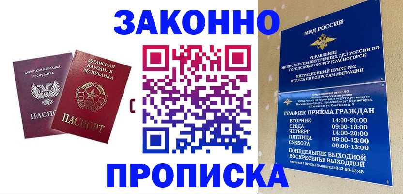 прописка в Стародубе